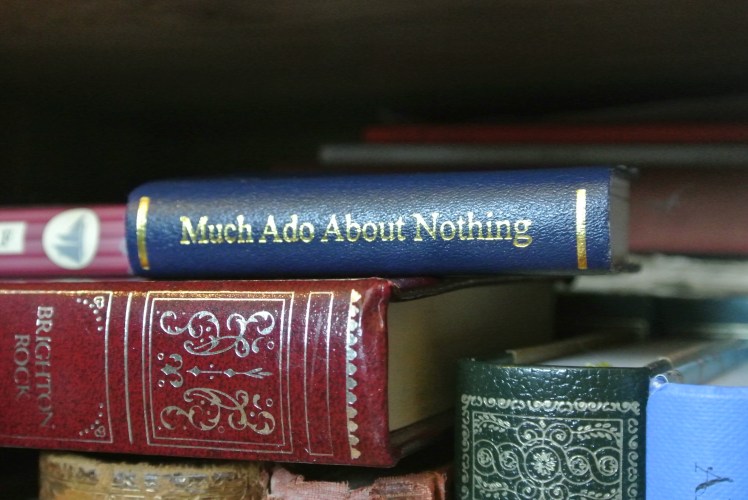 Shakespeare's plays, study work travel blog