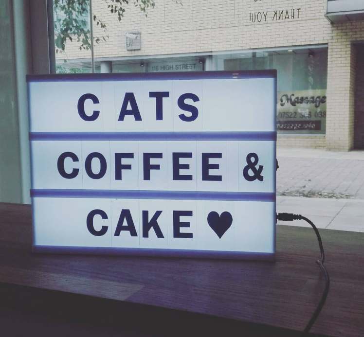 43675363_500529627119010_2721893609254158336_n