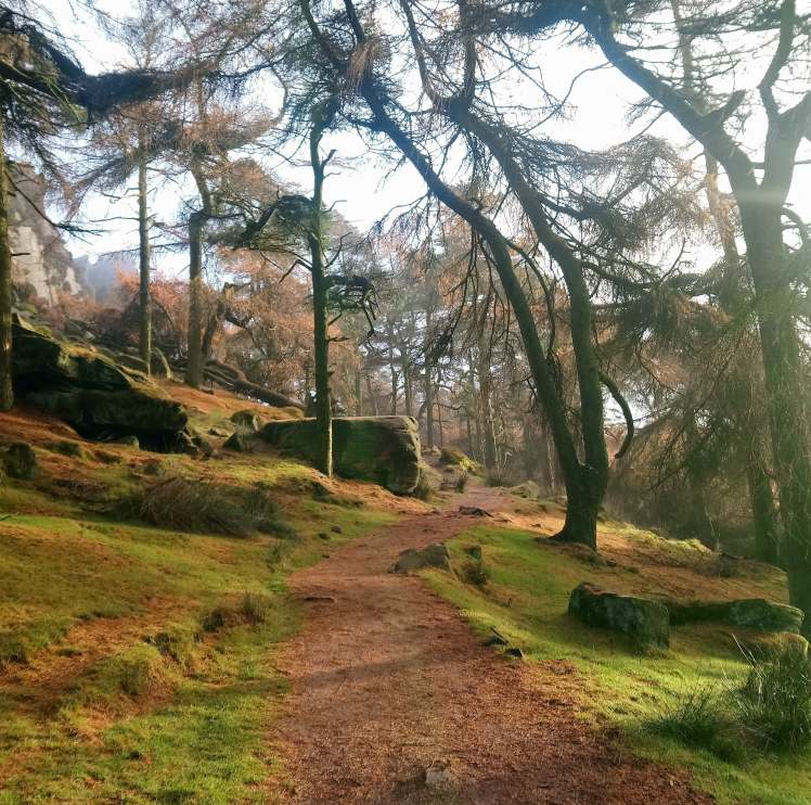 The Roaches Peak District with Study Work Travel blog