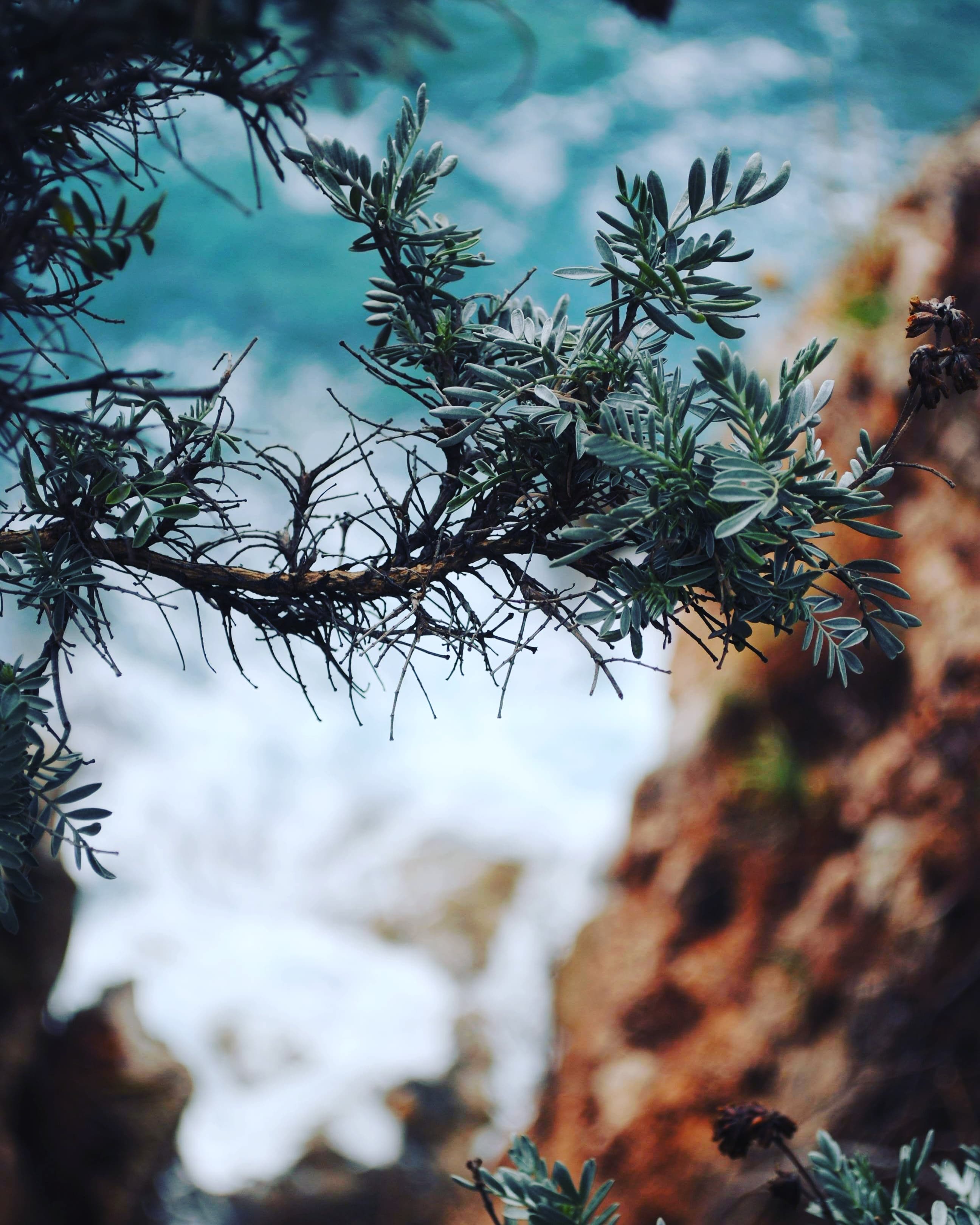 kolocep with study work travel blog