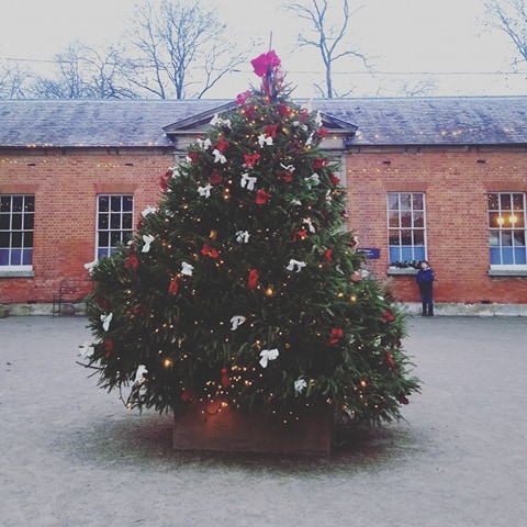 Attingham Park at Christmas. Study Work Travel Blog