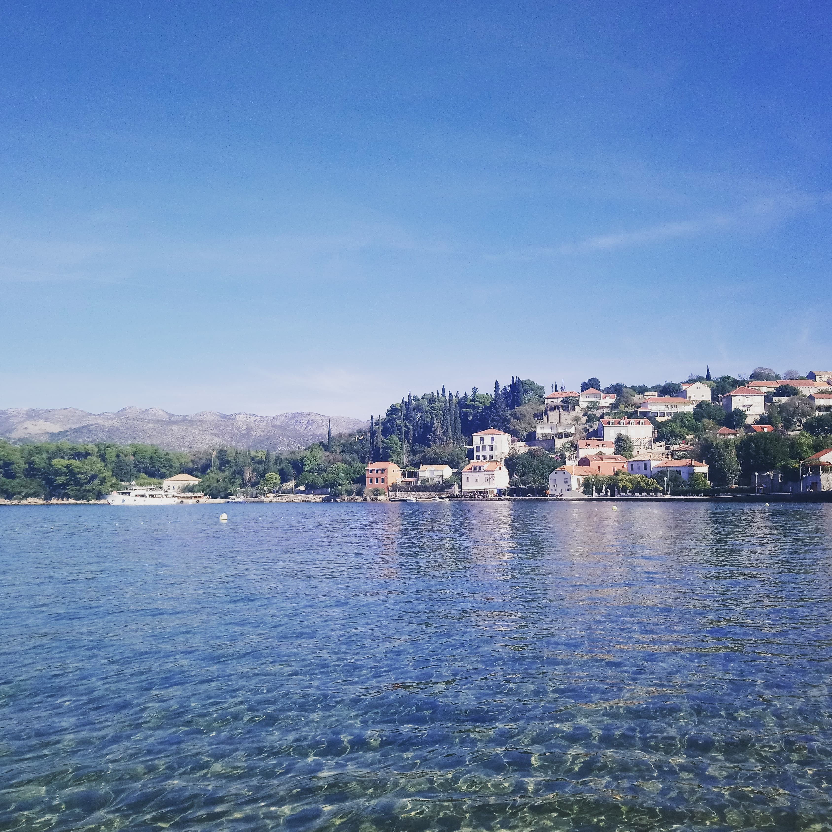 49937949_2716621348355697_2153828371258146816_n