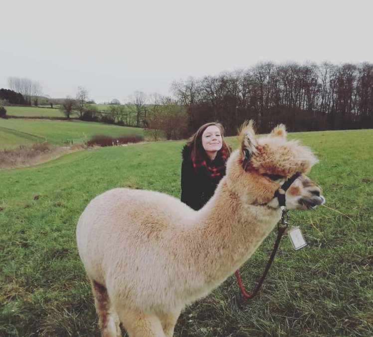 50266326_238411093731895_1467501002608345088_n