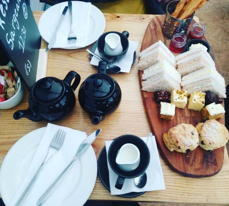 Sparkling afternoon tea at charnwood alpacas