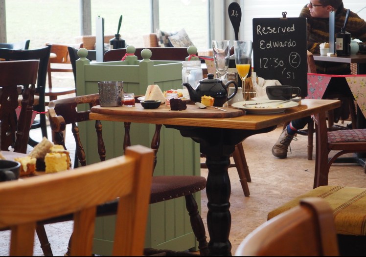 Afternoon tea setting at charnwood alpacas