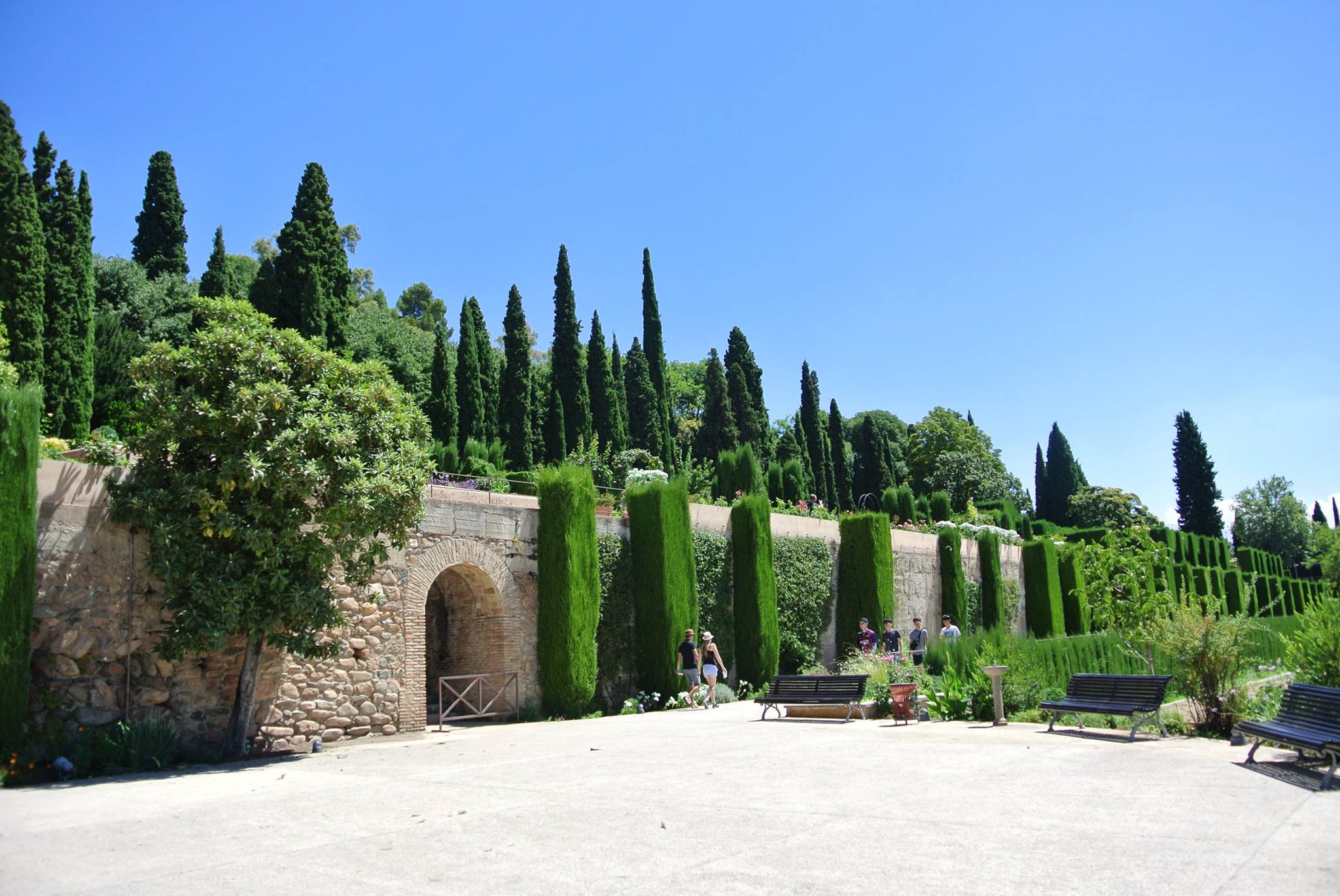 Alhambra Alhambra with Study Work Travel Blog