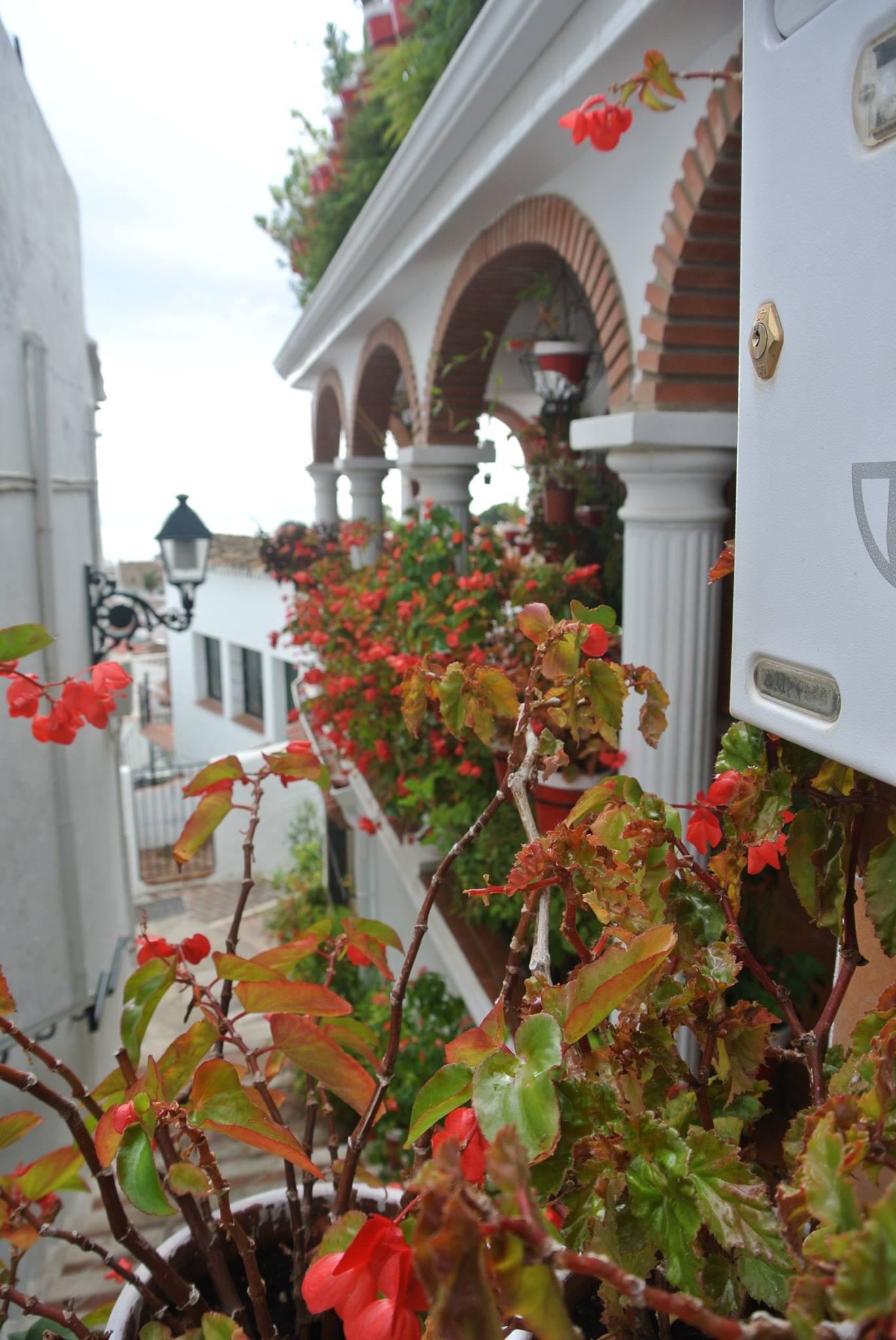 Mijas, Spain with Study Work Travel Blog