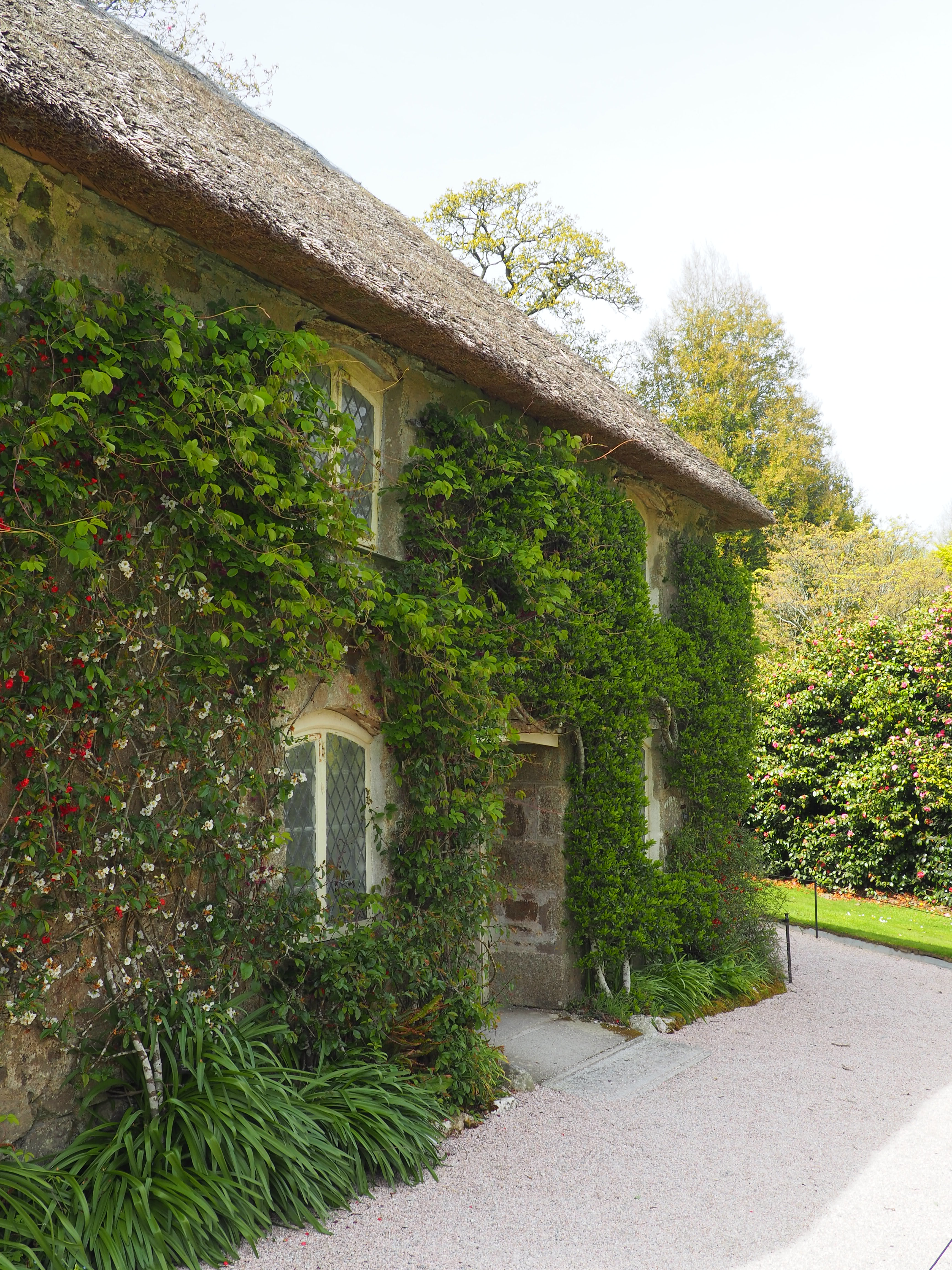 Lahyndrock with Study Work Travel Blog