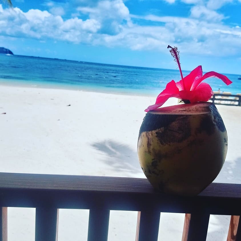coconut drink on Saint Lucia beach with Study Work Travel Blog