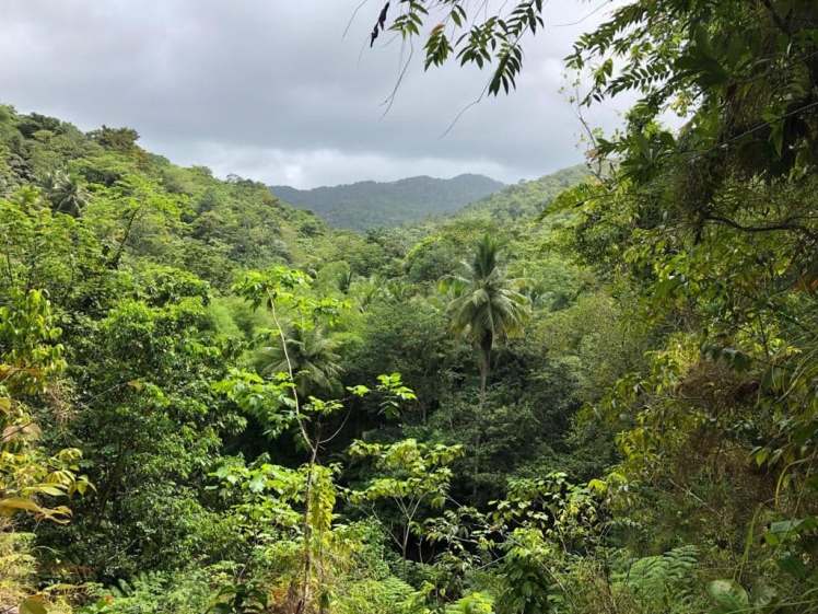 St. Lucia with study work travel blog