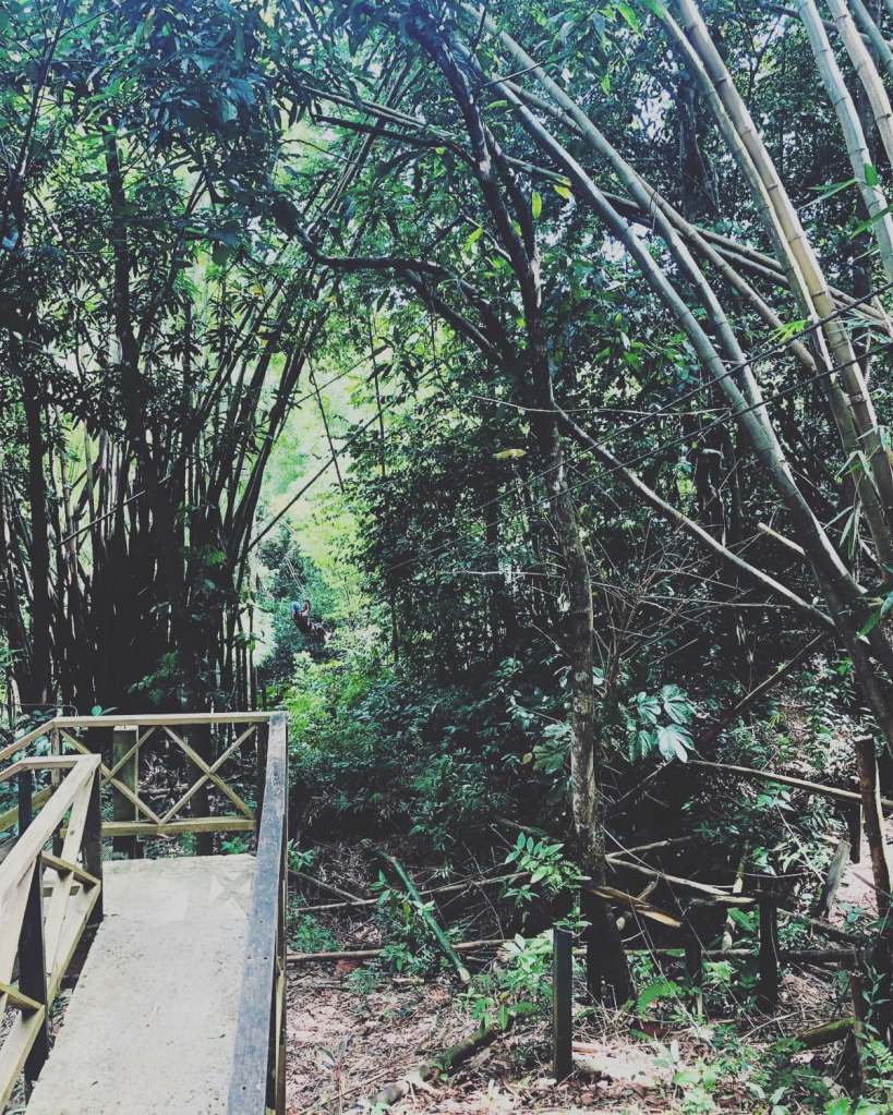 Zip-lining Saint Lucia with Study Work Travel Blog