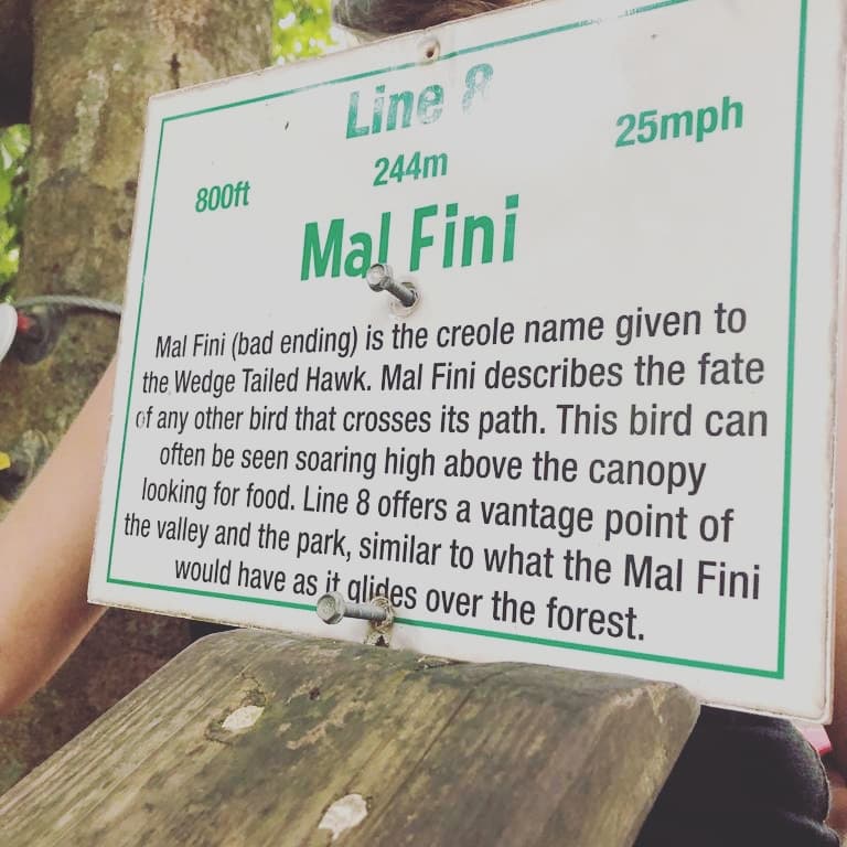 Zip-lining Saint Lucia with Study Work Travel Blog