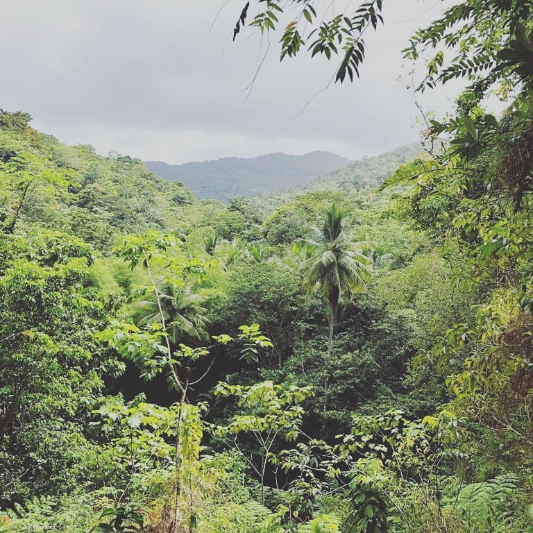 Zip-lining Saint Lucia with Study Work Travel Blog